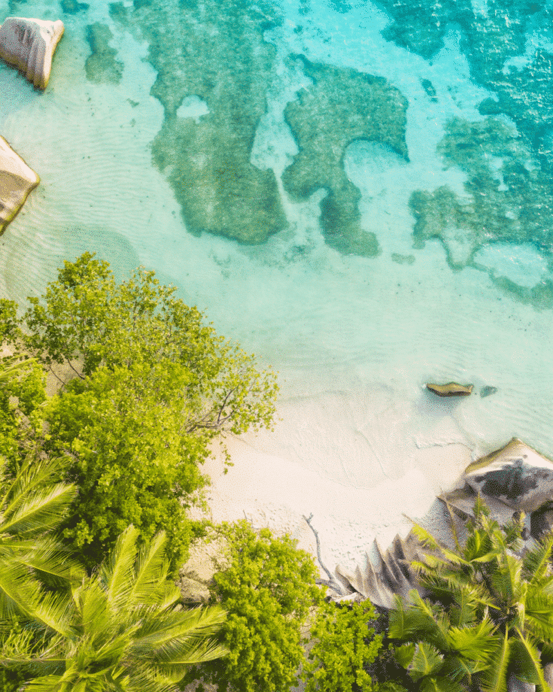 Pacifique Sud